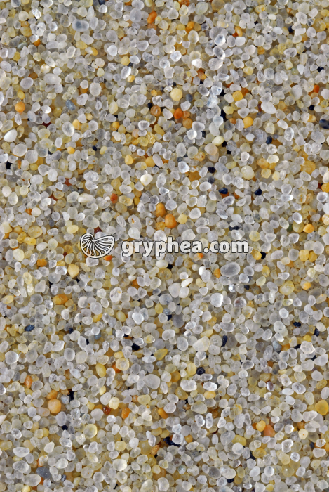 Sable - Dune du Pyla (Gironde) x2 - gryphea.com